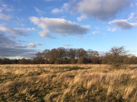 wanstead flats Archives - the lost byway