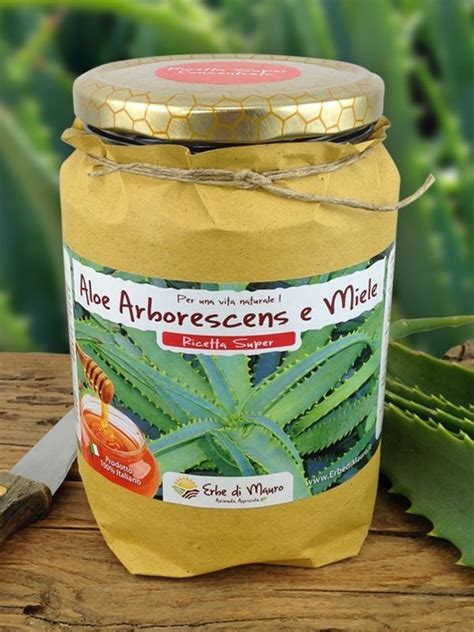 Aloe Arborescens Et Miel Recette Super Du P Re Romano Zago