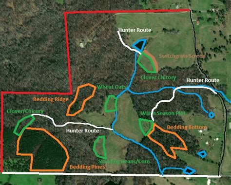 Cool Season Food Plots For Deer Planning Planting And Maintenance