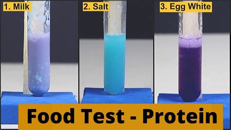 Food Test Protein Thinktac Diy Science Youtube