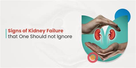 Warning Signs of Kidney Failure: Recognizing Symptoms and Seeking ...