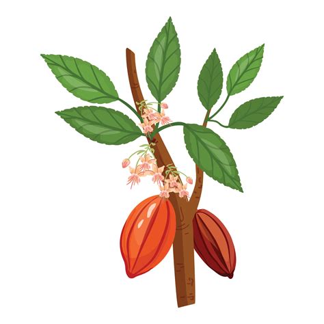 Arbol De Cacao Png Pegatina Clipart Rbol De Chocolate Vector De The