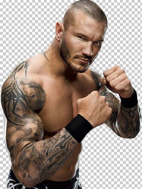 Randy Orton Wwe Championship Money In The Bank Ladder Match Wwe Money