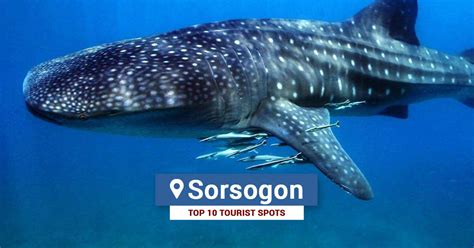 Top 10 Tourist Spots in Sorsogon | Tourist Spots Finder