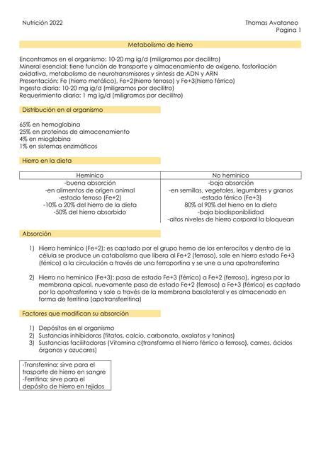 Metabolismo De Hierro Thomas Avataneo UDocz