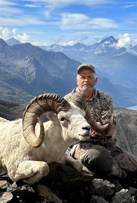 Dall Sheep Hunt Raffle Sci Alaska