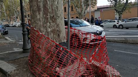 Viale Angelico E Via Barletta I Lavori Che Mancano