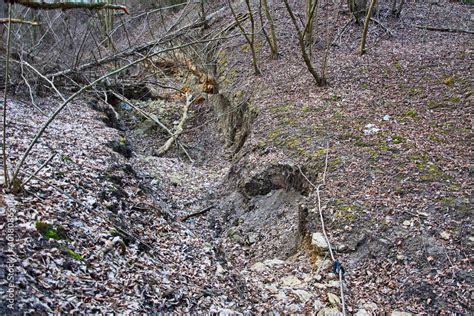 Exposed Tree Roots Soil Erosion Loess Rock Slope Wall In Natural