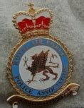 RAFPA Beret Badge – RAF Police Association