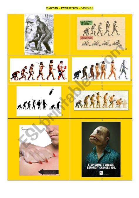 Darwin S Dangerous Idea Worksheet Pbs Evolution Darwin S Dangerous