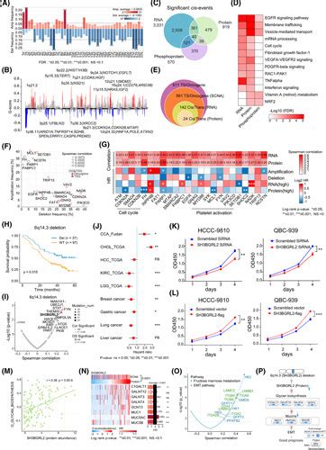 Human Cca Cell Lines Atcc Bioz