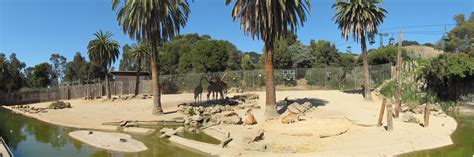 Oakland Zoo Panoramas