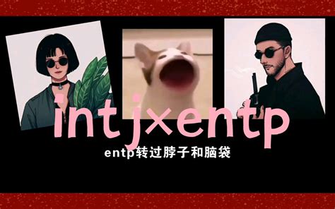 Entp女生眼里intj女生的样子（破除刻板印象）