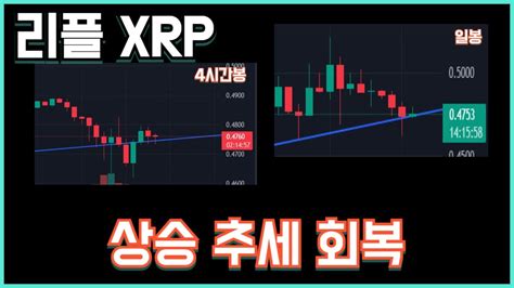 리플 Xrp 상승 추세 회복 Youtube