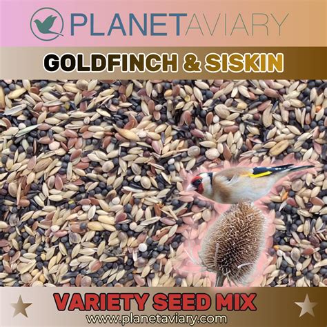 Goldfinch Siskin Variety Seed Mixture British Finches Planet Aviary