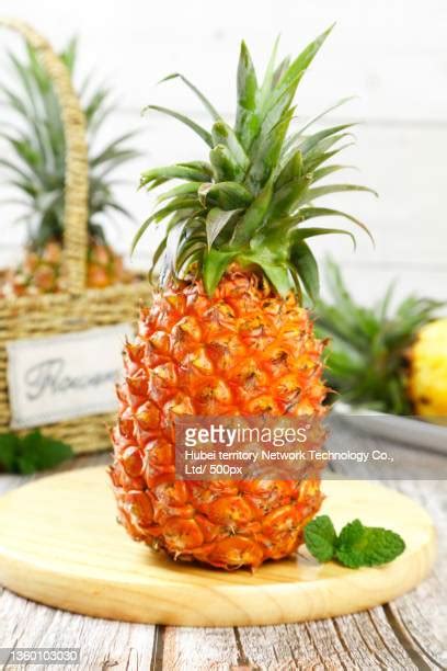 Cross Section Pineapple Photos And Premium High Res Pictures Getty Images