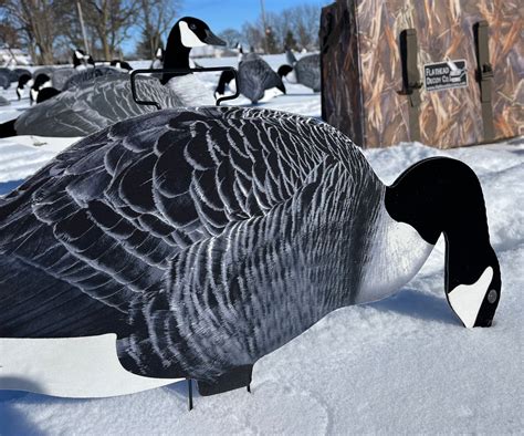 Fully Flocked Canada Goose Silhouette Decoys