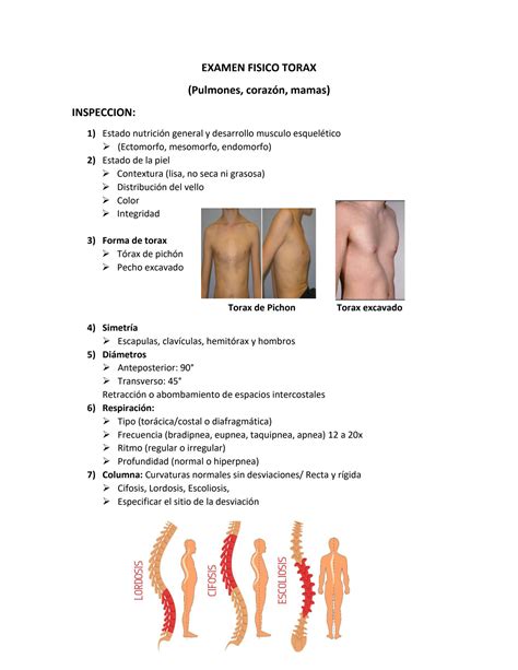 Solution Examen Fisico Torax Guia De Estudio Studypool