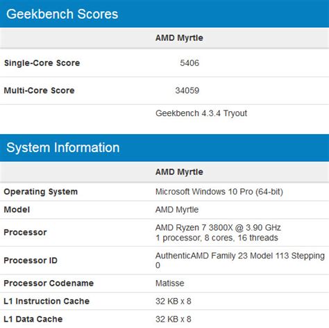 AMD Ryzen 7 benchmark score 3800X crushed Intel i9 9900K rival ...