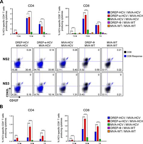 Phenotypic Profile Of Adaptive And Memory Hcv Specific Cd And Cd T