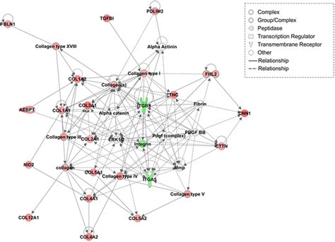 Ipa Top Scoring Network For Proteins Differentially Abundant In Tec Download Scientific Diagram