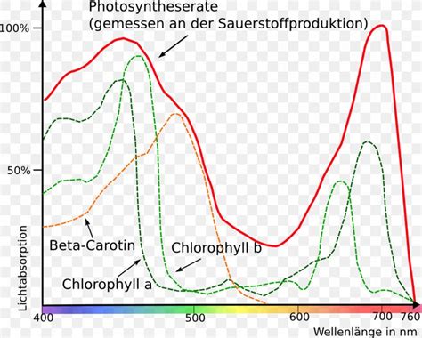 Light Photosynthesis Photosynthetically Active Radiation Electromagnetic Spectrum Grünlücke, PNG ...