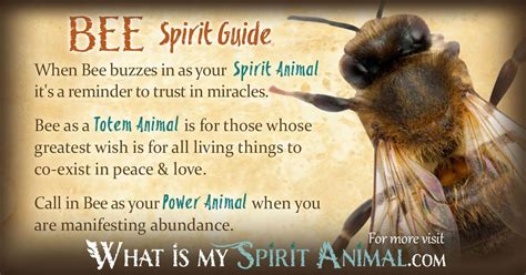 Bee Symbolism And Meaning Spirit Totem And Power Animal