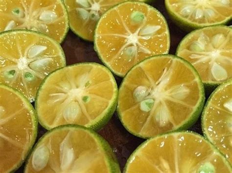 Frozen Calamansi Maika