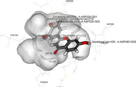 Close View Of Binding Mode Of Validated Active Ligand Compound In