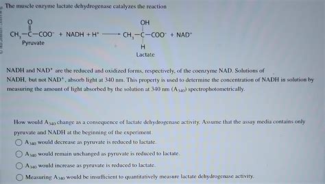 [Solved]: The muscle enzyme lactate dehydrogenase catal