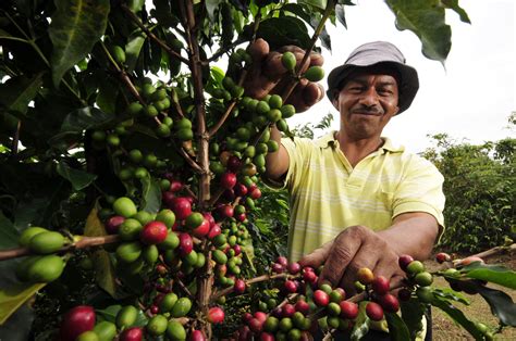 Colombian Coffee Regions – Coffee Geography Magazine