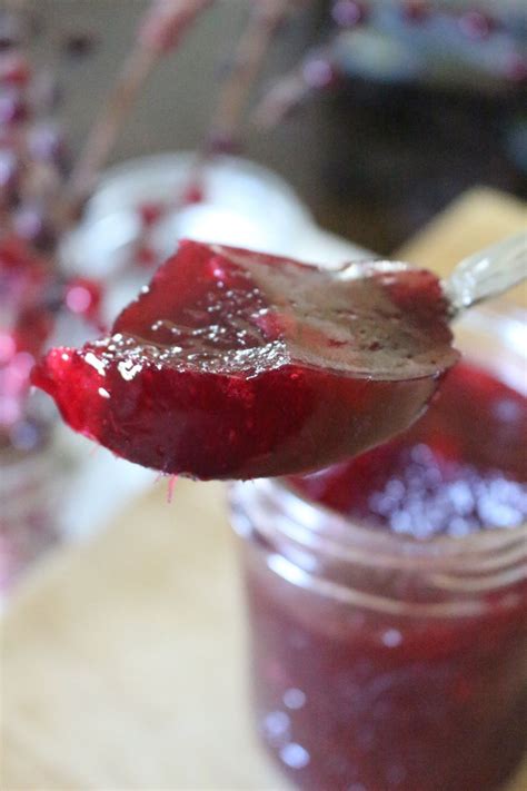 Homemade Jellied Cranberry Sauce Canning Optional