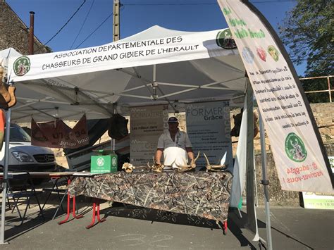 Association D Partementale Des Chasseurs De Grand Gibier De L H Rault