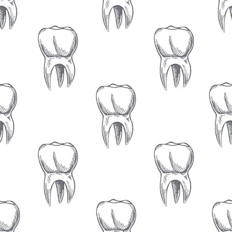 Premium Vector Hand Drawn Vector Seamless Pattern Of Teeth On White