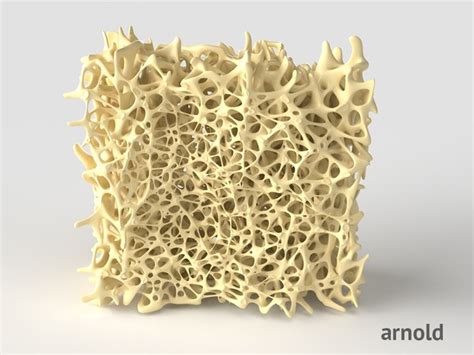 Bone structure anatomy model - TurboSquid 1716153