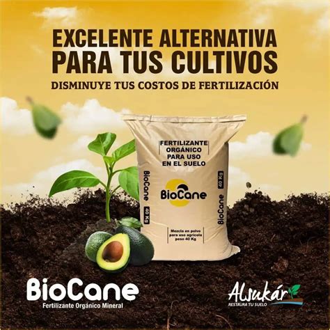 Fertilizante Org Nico Mineral Biocane Croper