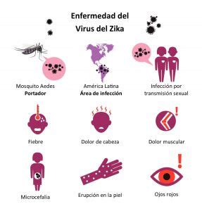 Síntomas del virus de Zika Infectious Disease Education Kiosk