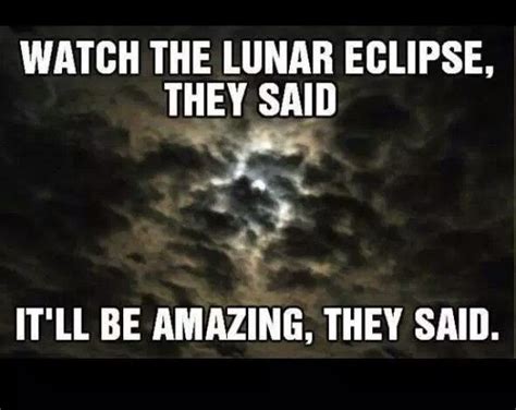 Pin By Windsoar On Stuff Sayings Lunar Eclipse Laugh