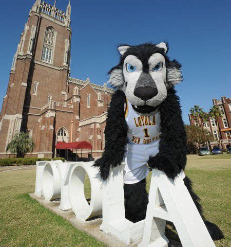 See the mascots cheering on 20 Louisiana colleges and universities ...