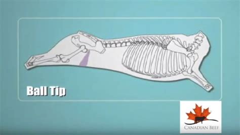 Know Your Beef Cuts Ball Tip Youtube