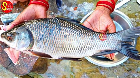 Katla Fish Cutting Skillsभाकुर मछली घर पर कैसे कटे🐟bhakur Machli Saaf