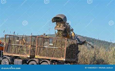 Sugar Cane Harvesting during Crushing Season in Australia Stock Image ...