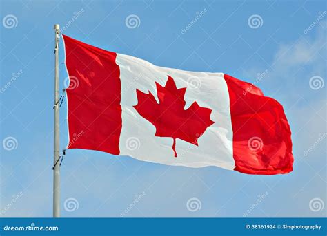 Canada Flag Flying On Pole Stock Photo Image Of Canadian 38361924