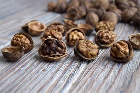 Walnuts Are Shelled The Edible Kernel Of Nut Is In A Shell Stock Photo