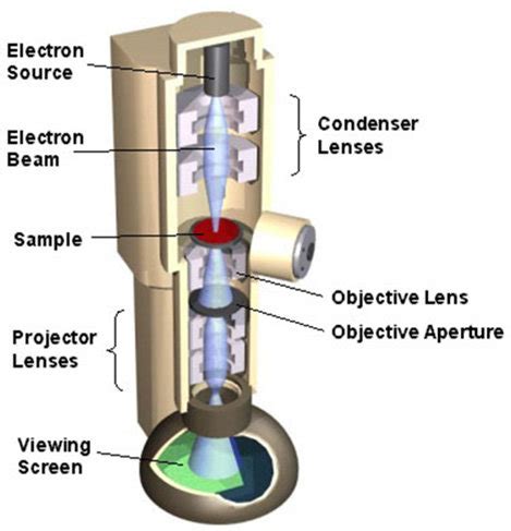 Schematic of TEM operation | Download Scientific Diagram