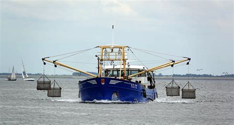 Oosterschelde Door Arjan Van Lomwel Goes Visserij Omroep Zeeland