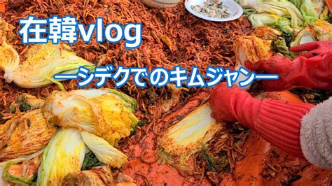 【在韓vlog】シデクでのキムジャン今年は白菜150株漬けました2020김장vlog Youtube