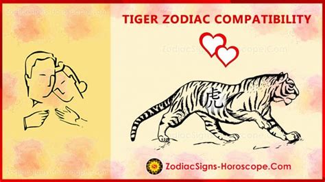 Tiger Compatibility, Love and Marriage - Chinese Zodiac Compatibility