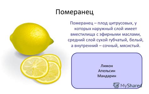 Презентация на тему: "Плоды Создатель презентации ученик 7 класса ...