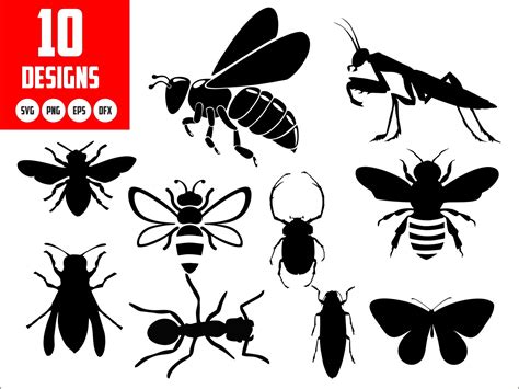 Insect Svg File Insect Vector Insect Download Insect Etsy